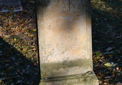 Holedeč, Omnium, 2020