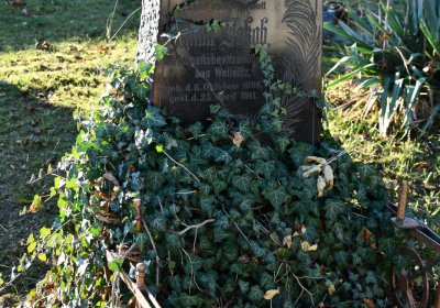 Holedeč, Omnium, 2020