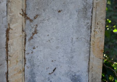 Holedeč, Omnium, 2020