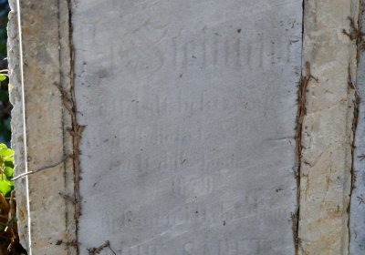 Holedeč, Omnium, 2020