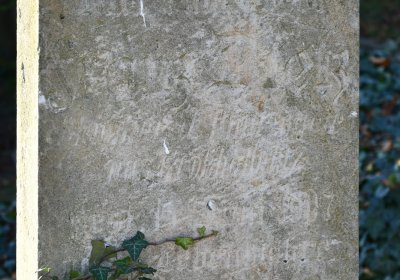 Holedeč, Omnium, 2020