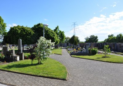 Hříškov, Omnium, 2020