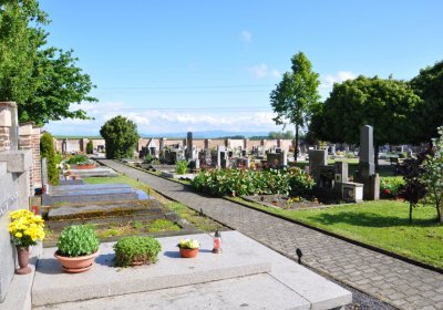 Hříškov, Omnium, 2020