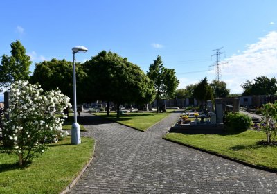 Hříškov, Omnium, 2020