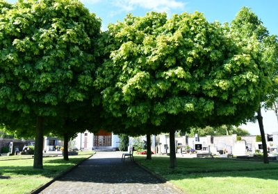 Hříškov, Omnium, 2020