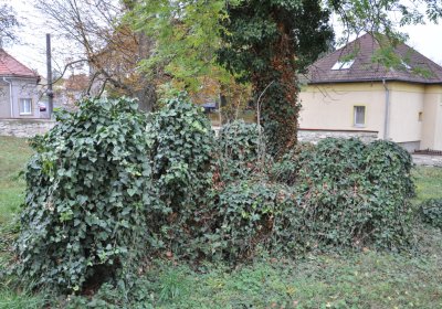 Chlumčany u kostela, Omnium, 2020