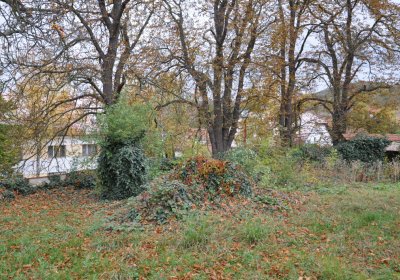 Chlumčany u kostela, Omnium, 2020