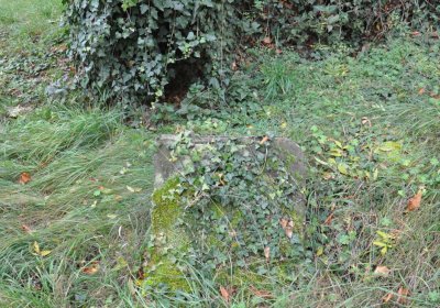 Chlumčany u kostela, Omnium, 2020