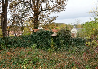 Chlumčany u kostela, Omnium, 2020