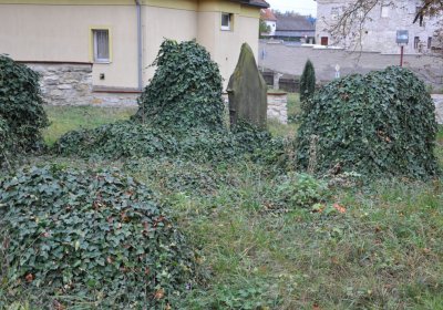 Chlumčany u kostela, Omnium, 2020