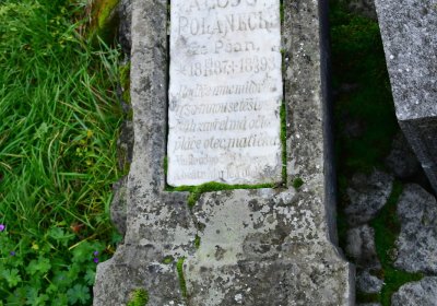 Chlumčany u kostela, Omnium, 2020