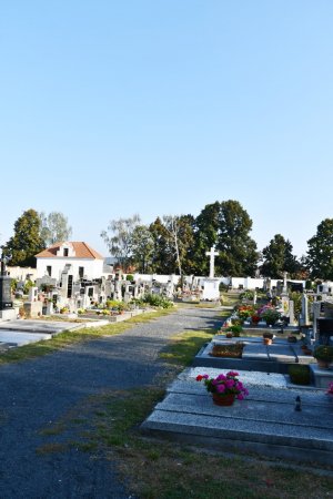 Lenešice