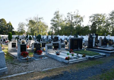 Lenešice, Omnium, 2020