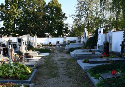 Lenešice, Omnium, 2020