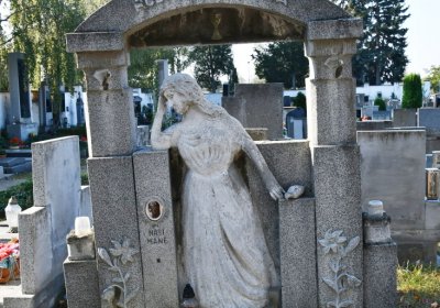 Lenešice, Omnium, 2020