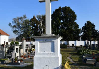 Lenešice, Omnium, 2020