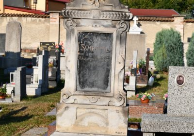 Lenešice, Omnium, 2020