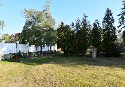 Lenešice, Omnium, 2020