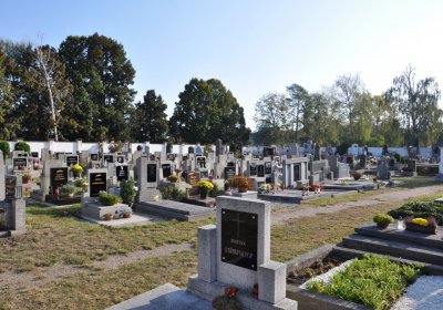 Lenešice, Omnium, 2020