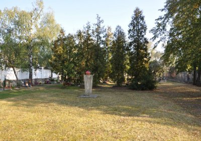 Lenešice, Omnium, 2020