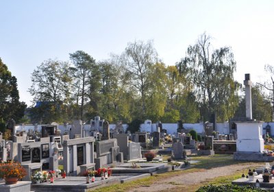 Lenešice, Omnium, 2020