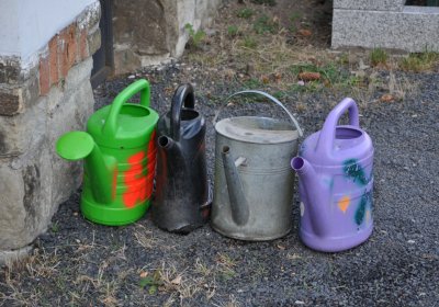 Lenešice, Omnium, 2020