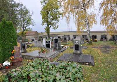 Panenský Týnec, Omnium, 2020