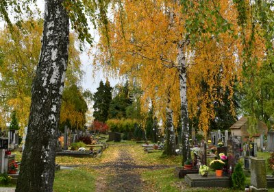 Panenský Týnec, Omnium, 2020