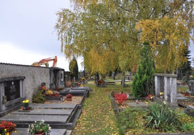 Panenský Týnec, Omnium, 2020