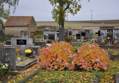 Panenský Týnec, Omnium, 2020