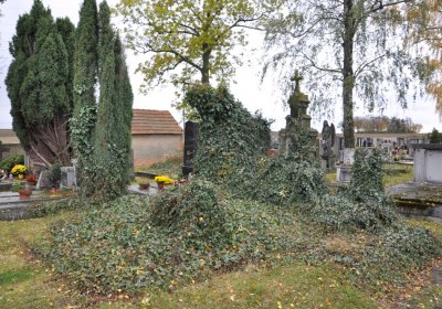 Panenský Týnec, Omnium, 2020