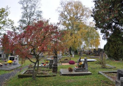 Panenský Týnec, Omnium, 2020