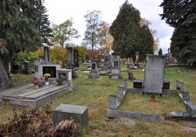 Panenský Týnec, Omnium, 2020