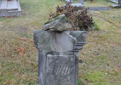 Panenský Týnec, Omnium, 2020