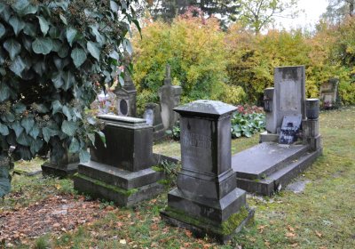 Panenský Týnec, Omnium, 2020