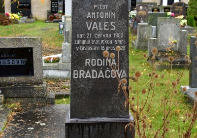 Panenský Týnec, Omnium, 2020