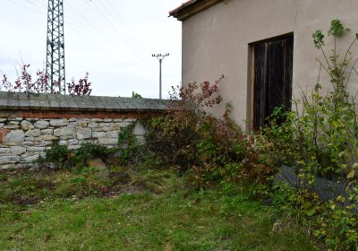 Panenský Týnec, Omnium, 2020