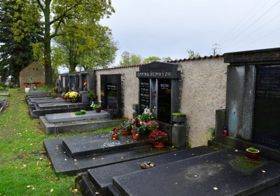 Panenský Týnec, Omnium, 2020