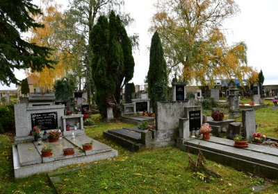 Panenský Týnec, Omnium, 2020