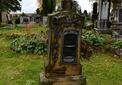 Panenský Týnec, Omnium, 2020