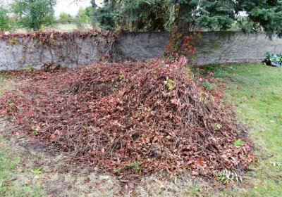 Panenský Týnec, Omnium, 2020