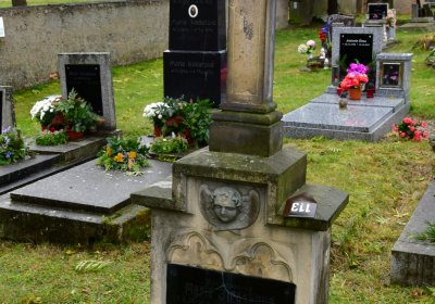 Panenský Týnec, Omnium, 2020