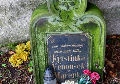 Panenský Týnec, Omnium, 2020