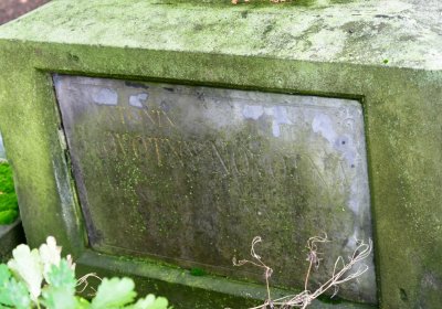 Panenský Týnec, Omnium, 2020