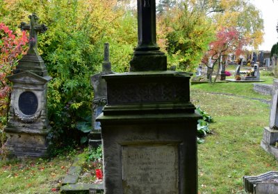 Panenský Týnec, Omnium, 2020