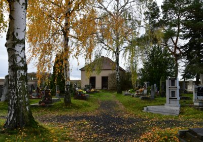 Panenský Týnec, Omnium, 2020