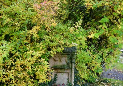 Panenský Týnec, Omnium, 2020