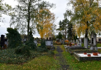 Panenský Týnec, Omnium, 2020