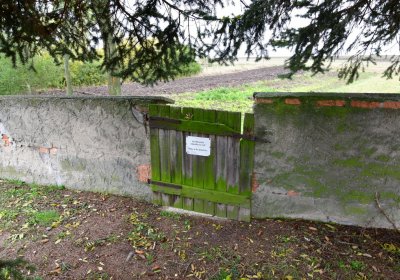 Panenský Týnec, Omnium, 2020