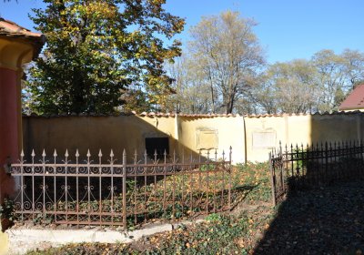 Nové Sedlo, Omnium, 2020